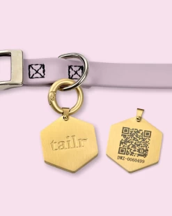 TAILR Tailr QR ID Tag For Pets (Classic Hanging Tag)