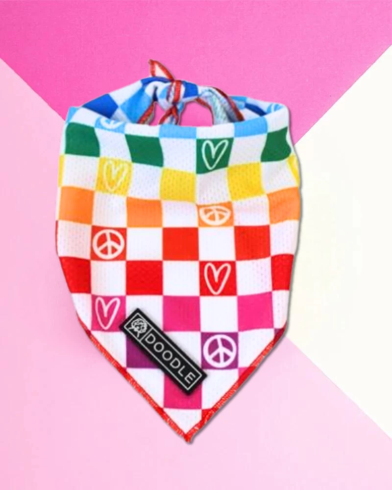 DOODLE PET DESIGN Cooling Dog Bandana In Pride Print