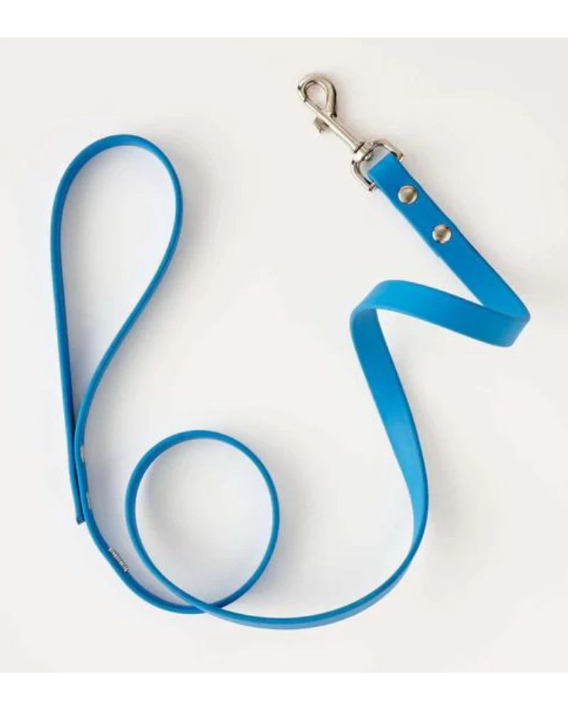 HOT DOGS ALL DRESSED Vegan Leather Dog Leash In Sky Blue (Made In Canada) - Image 2