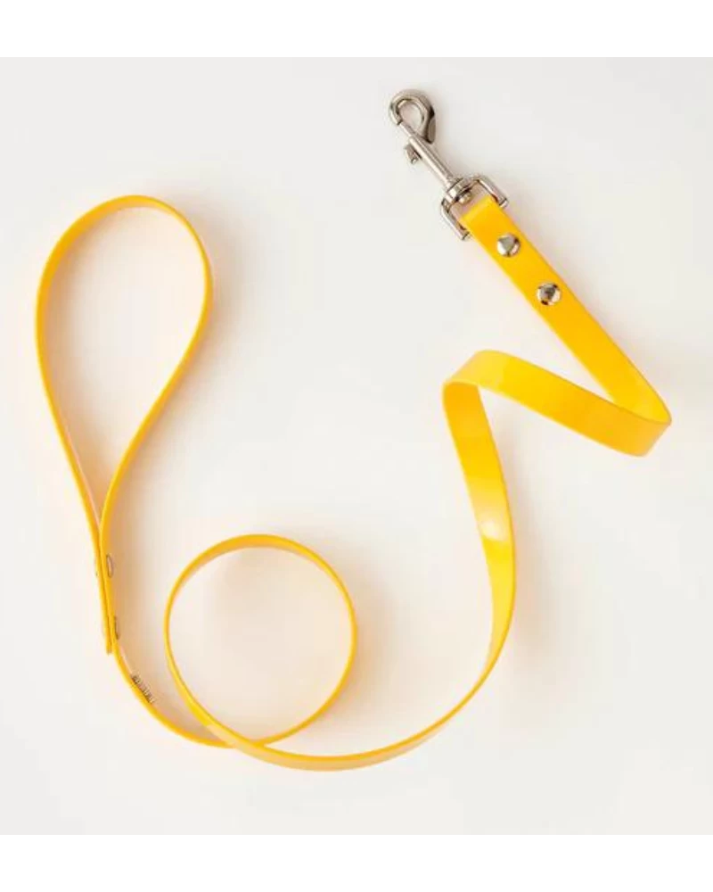 HOT DOGS ALL DRESSED Hydro Dog Leash In Yellow (Made In Canada) - Image 2
