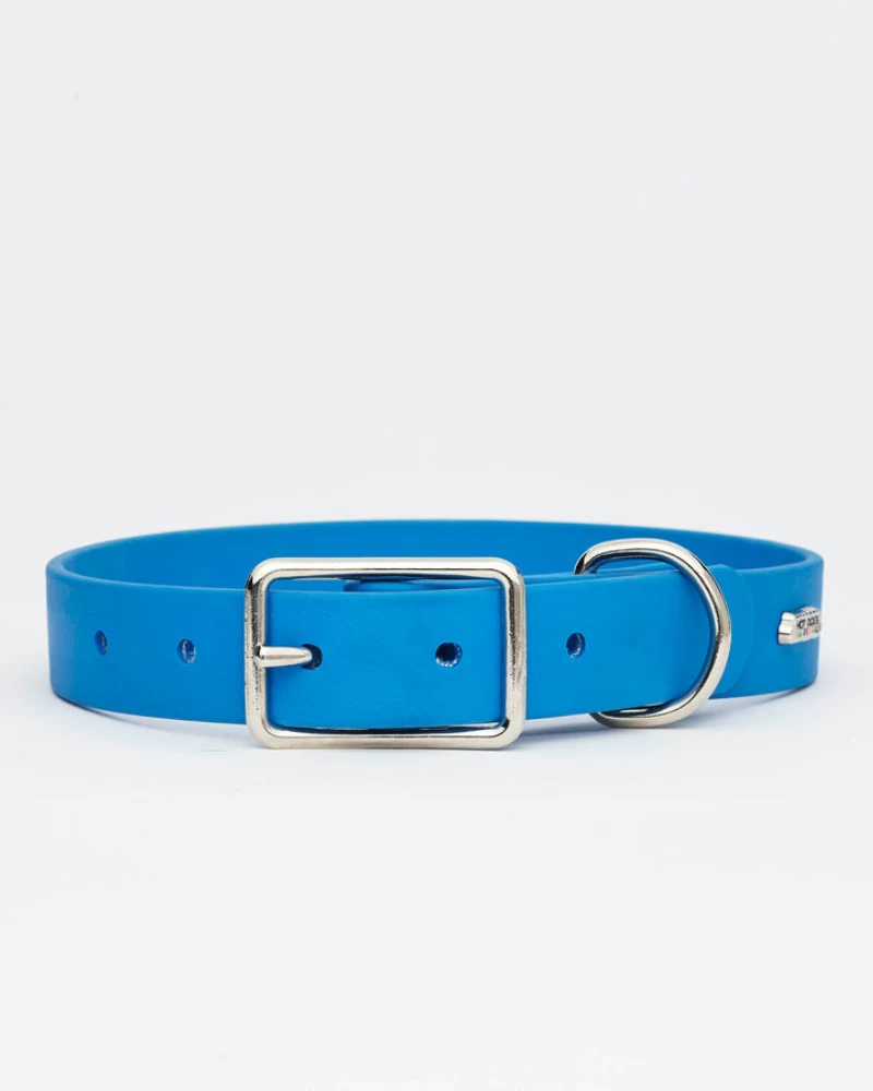 HOT DOGS ALL DRESSED Sky Blue Vegan Leather Dog Collar With Clouds (Made In Canada) - Image 4