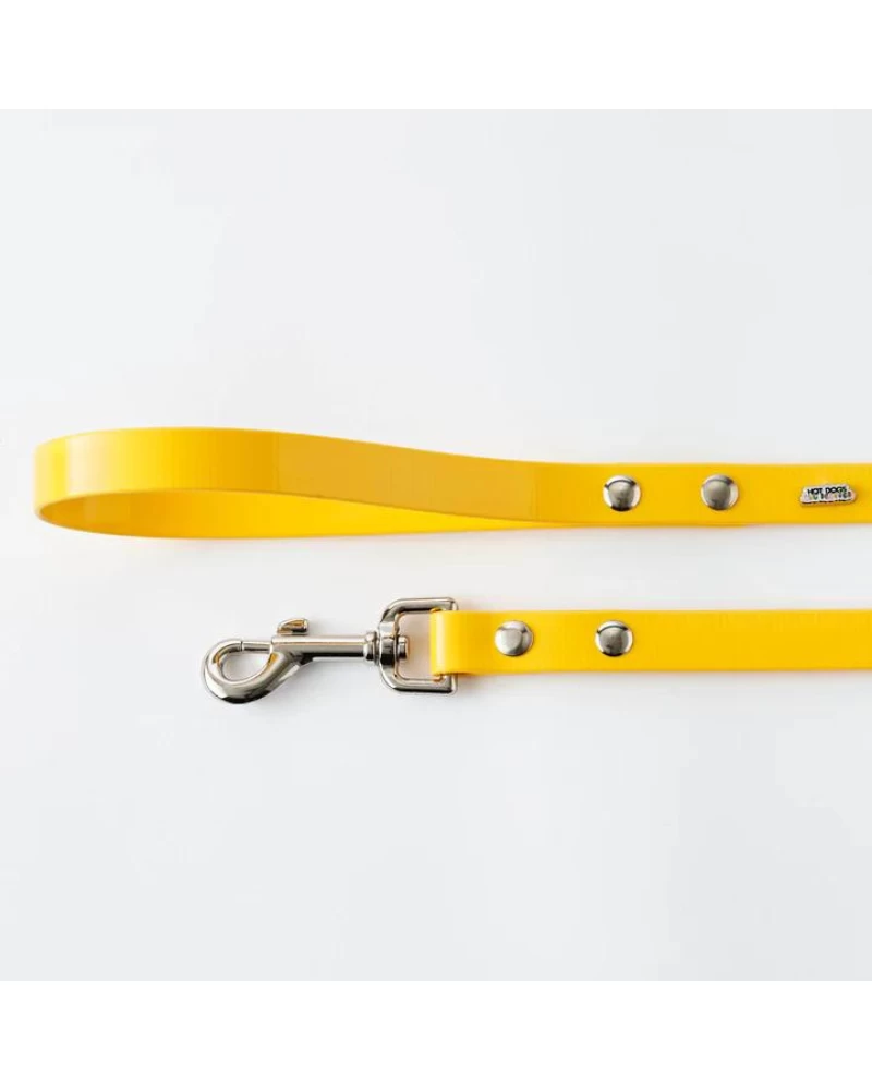 HOT DOGS ALL DRESSED Hydro Dog Leash In Yellow (Made In Canada) - Image 3
