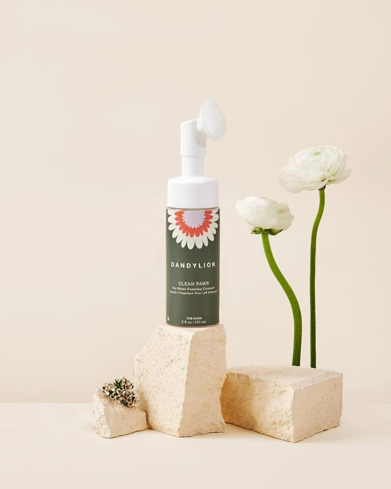 DANDYLION Clean Paws No-Rinse Foaming Cleanser For Dogs (Vegan & Cruelty Free) - Image 3