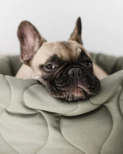 LAMBWOLF COLLECTIVE Taart Reversible Donut Pet Bed (FINAL SALE)