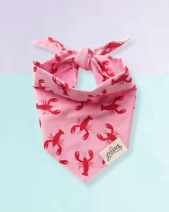 THE PAWS Frye Island Lobster Dog Bandana