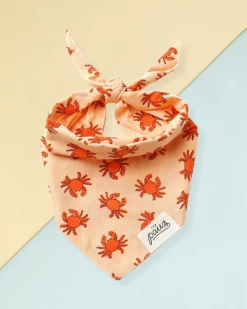 THE PAWS Mr. Crabby Dog Bandana
