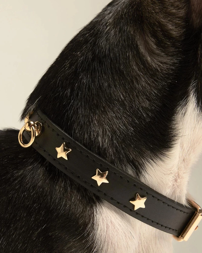 BRANNI Black Nara Leather Dog Collar With Brass Stars (Made In Italy) - Image 2