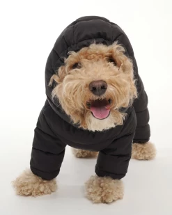 SSOOOK Padded Winter Coverall For Dogs W/ Hood
