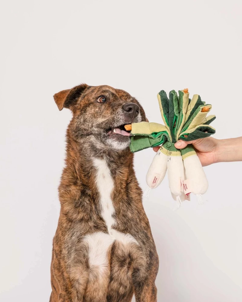 THE FURRY FOLKS Green Onion Nosework Dog Toy - Image 2