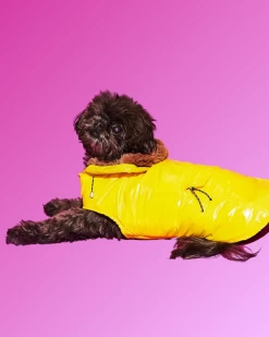 WARE OF THE DOG Shiny Puffer Dog Jacket W/ Faux Fur Hood (Made In The USA) (FINAL SALE)