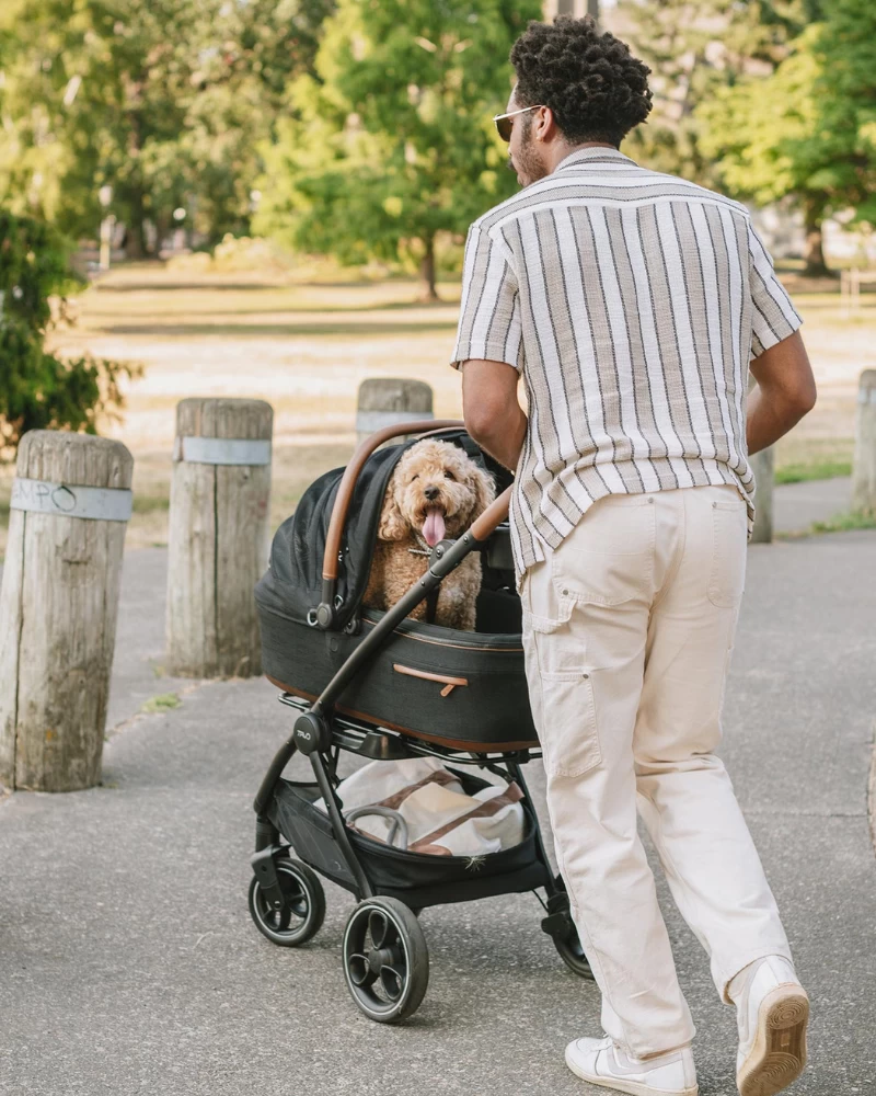 TAVO PET Maeve™ + Roscoe™ 3-in-1 Pet Stroller & Car Seat