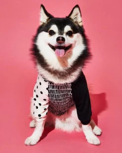 WARE OF THE DOG Geometric Print Dog T-Shirt (Made In The USA)