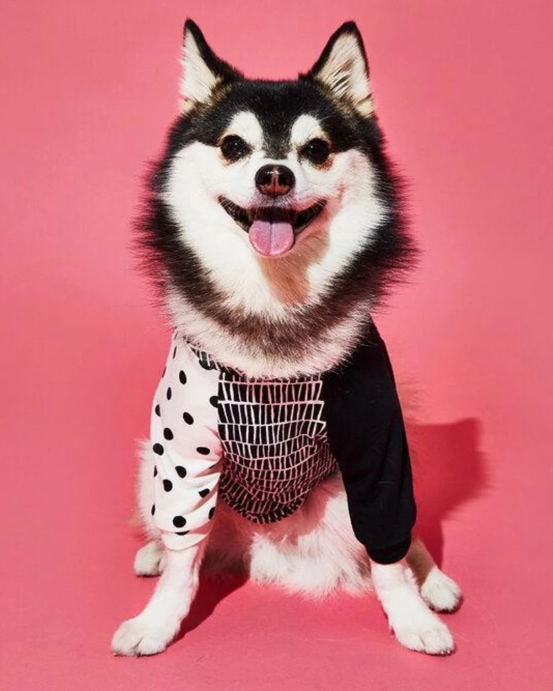 WARE OF THE DOG Geometric Print Dog T-Shirt (Made In The USA)