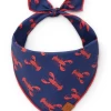 THE FOGGY DOG Catch Of The Day Navy Dog Bandana (Made In The USA)