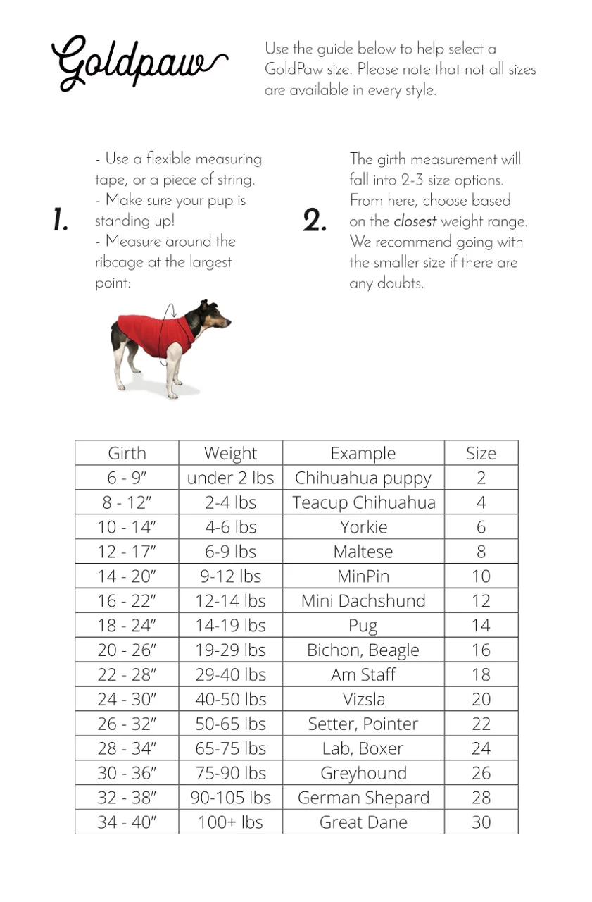 GOLD PAW Sun Shield Tee In Grand Teton Green (Made In The USA) - Image 9