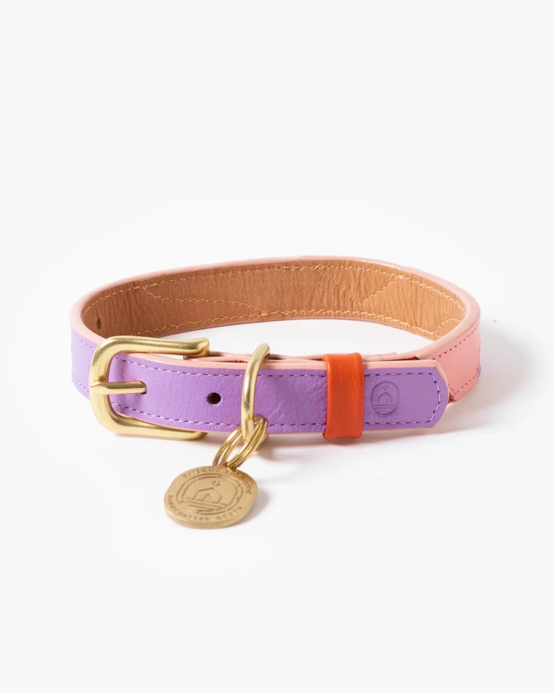 RAMONA FOR YOU Sweet Leather Dog Leash (Made In Guatemala) - Image 3