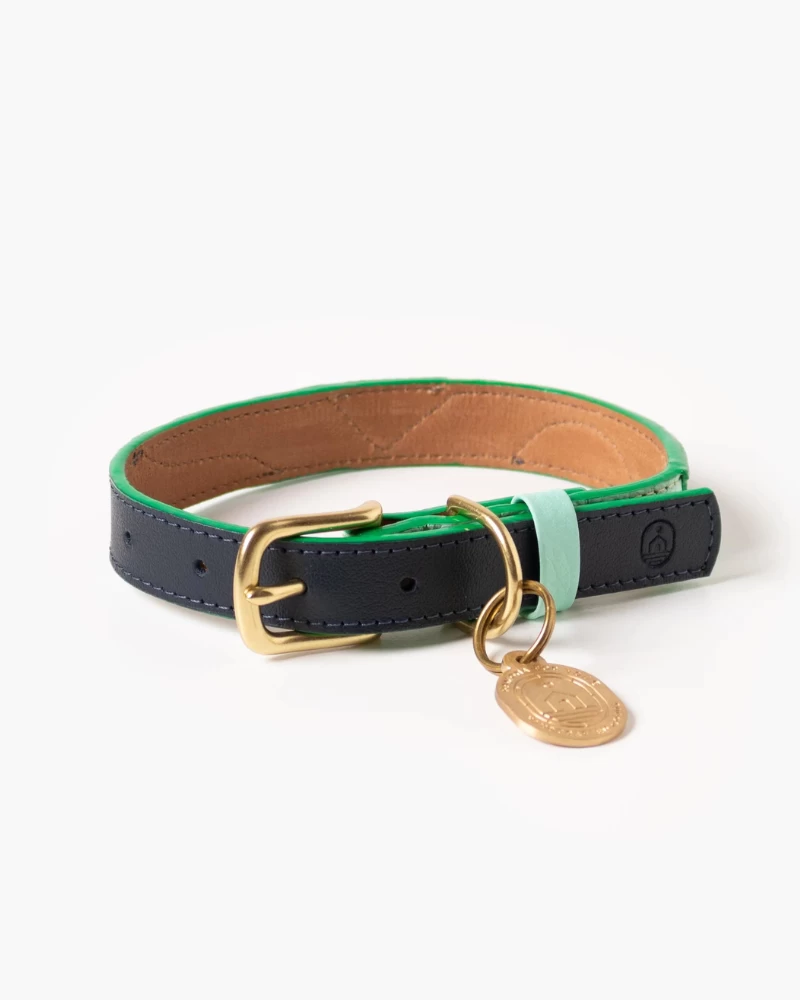 RAMONA FOR YOU Brave Leather Dog Collar (Made In Guatemala) - Image 4