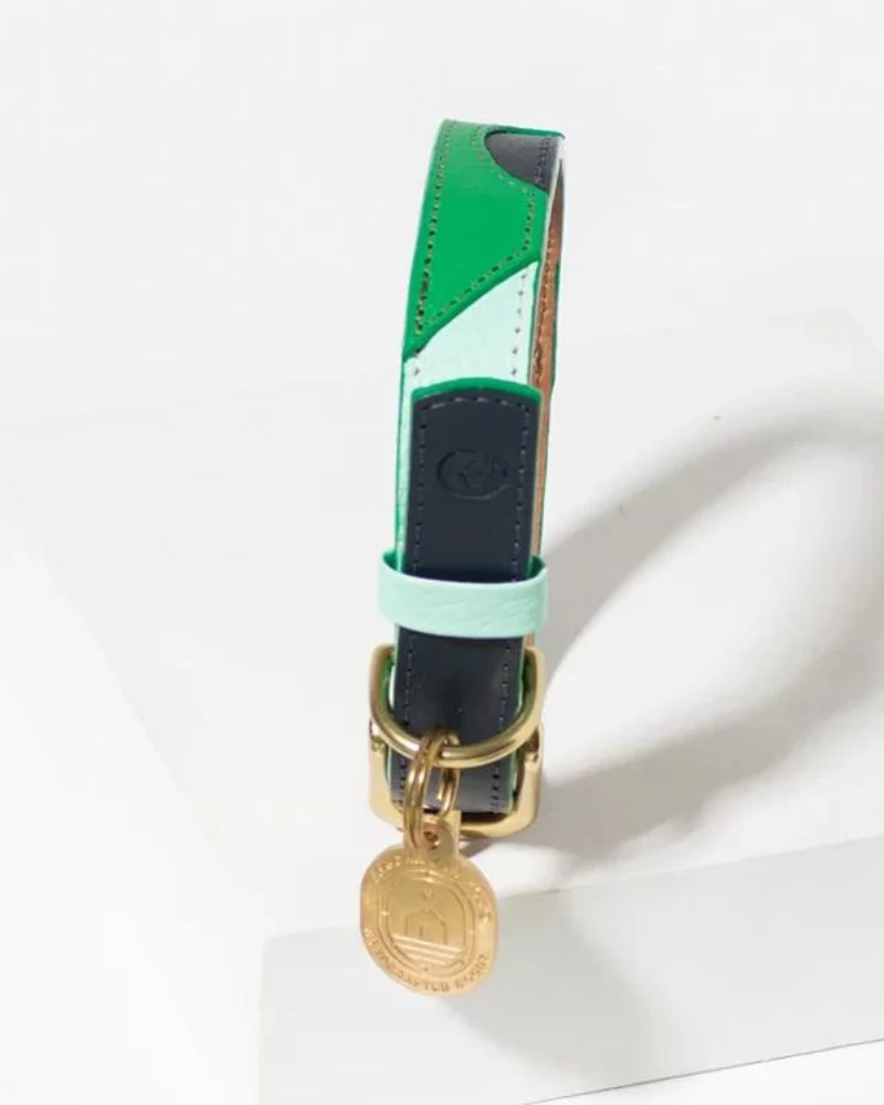 RAMONA FOR YOU Brave Leather Dog Collar (Made In Guatemala)