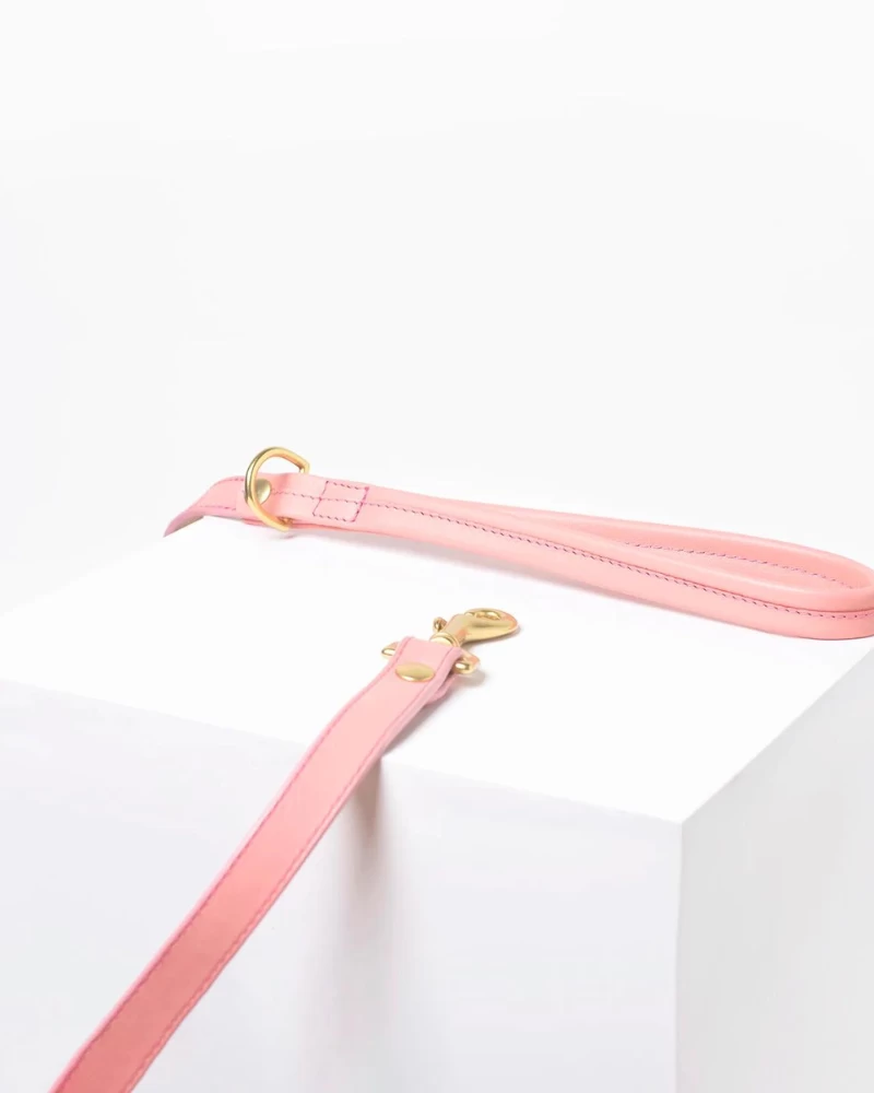 RAMONA FOR YOU Sweet Leather Dog Leash (Made In Guatemala) - Image 2