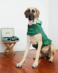 GF PET Reversible Waterproof Dog Raincoat In Green