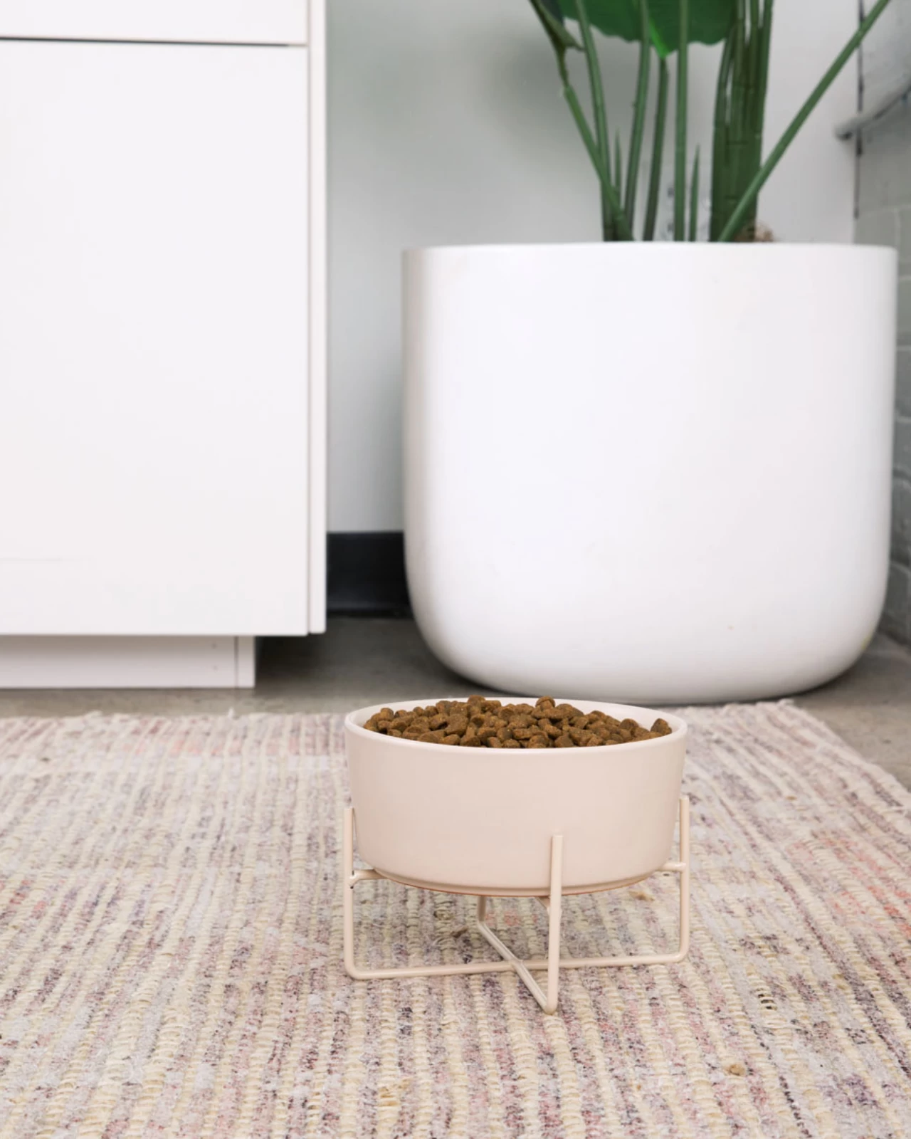 WAGGO Simple Solid Bowl + Bowl Stand In Matte Buttercream - Image 2