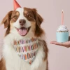 THE FOGGY DOG Rifle Paper Co. X TFD Birthday Candles Dog Bandana