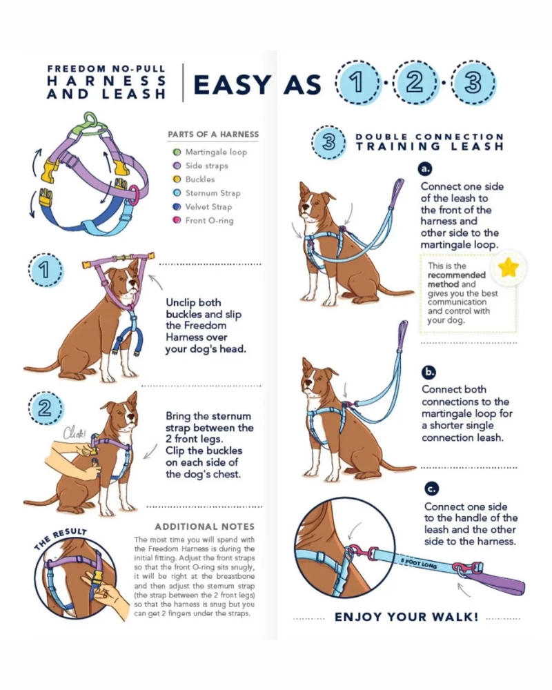 2 HOUNDS For DOG & CO. (Exclusive) Freedom No-Pull Harness In Neon Pink & Orange (Made In The USA) - Image 7