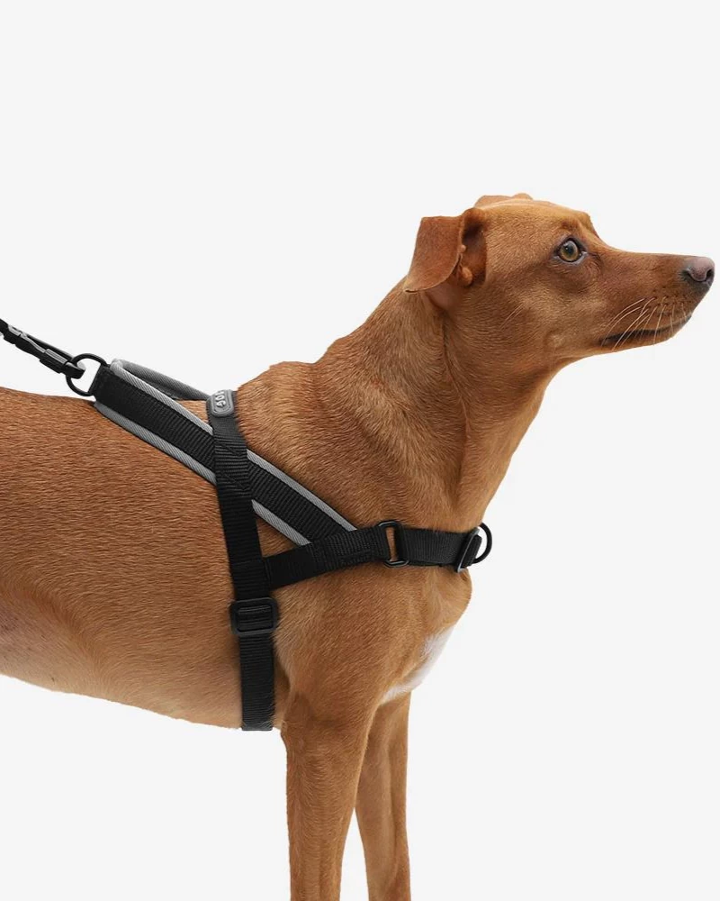 ZEE.DOG SoftWalk No-Pull Dog Harness (FINAL SALE) - Image 7