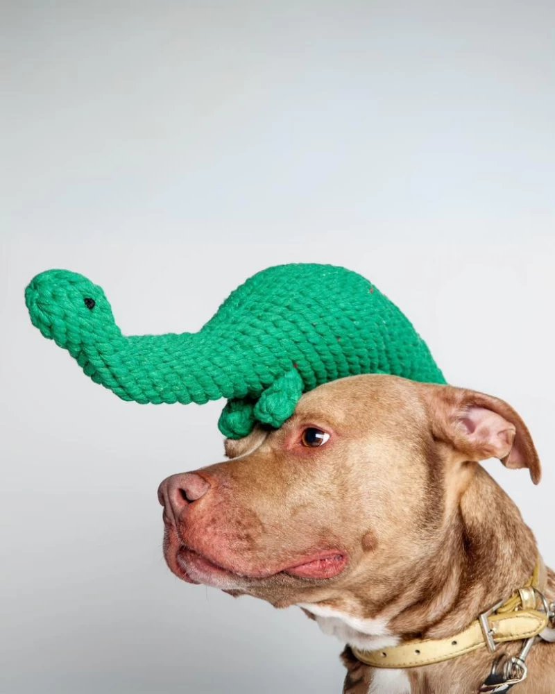 JAX & BONES Brent The Brontosaurus Rope Dog Toy - Image 3
