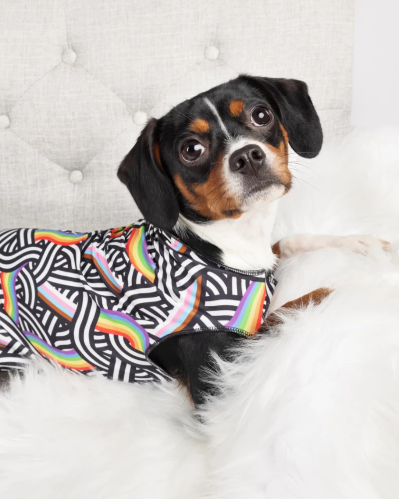 GOLD PAW Sun Shield Tee In Rainbow Pride Print (Made In The USA) - Image 4