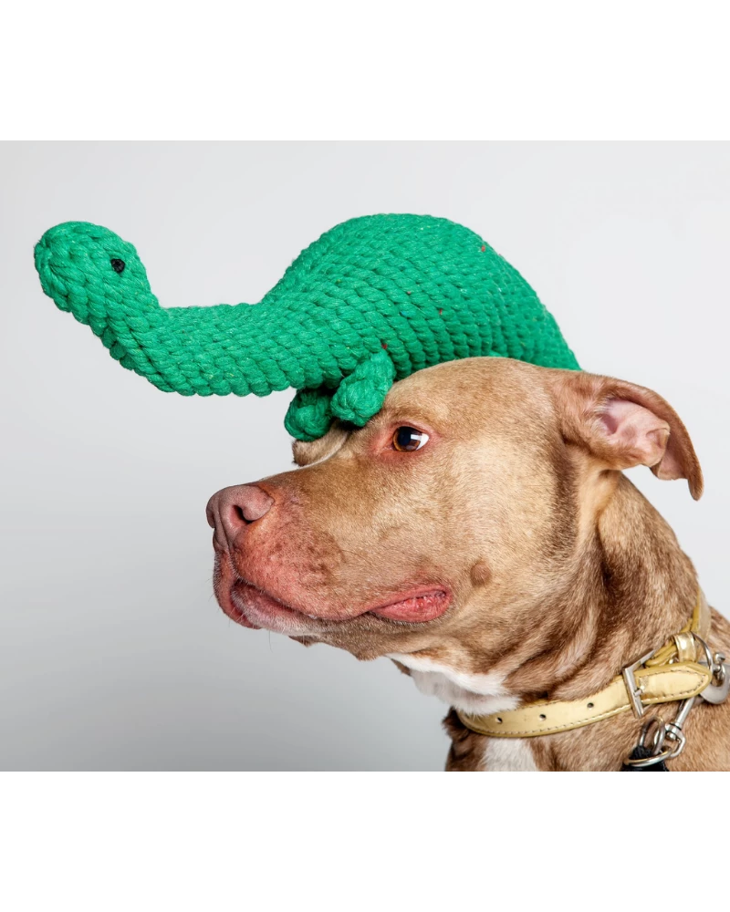 JAX & BONES Brent The Brontosaurus Rope Dog Toy - Image 5