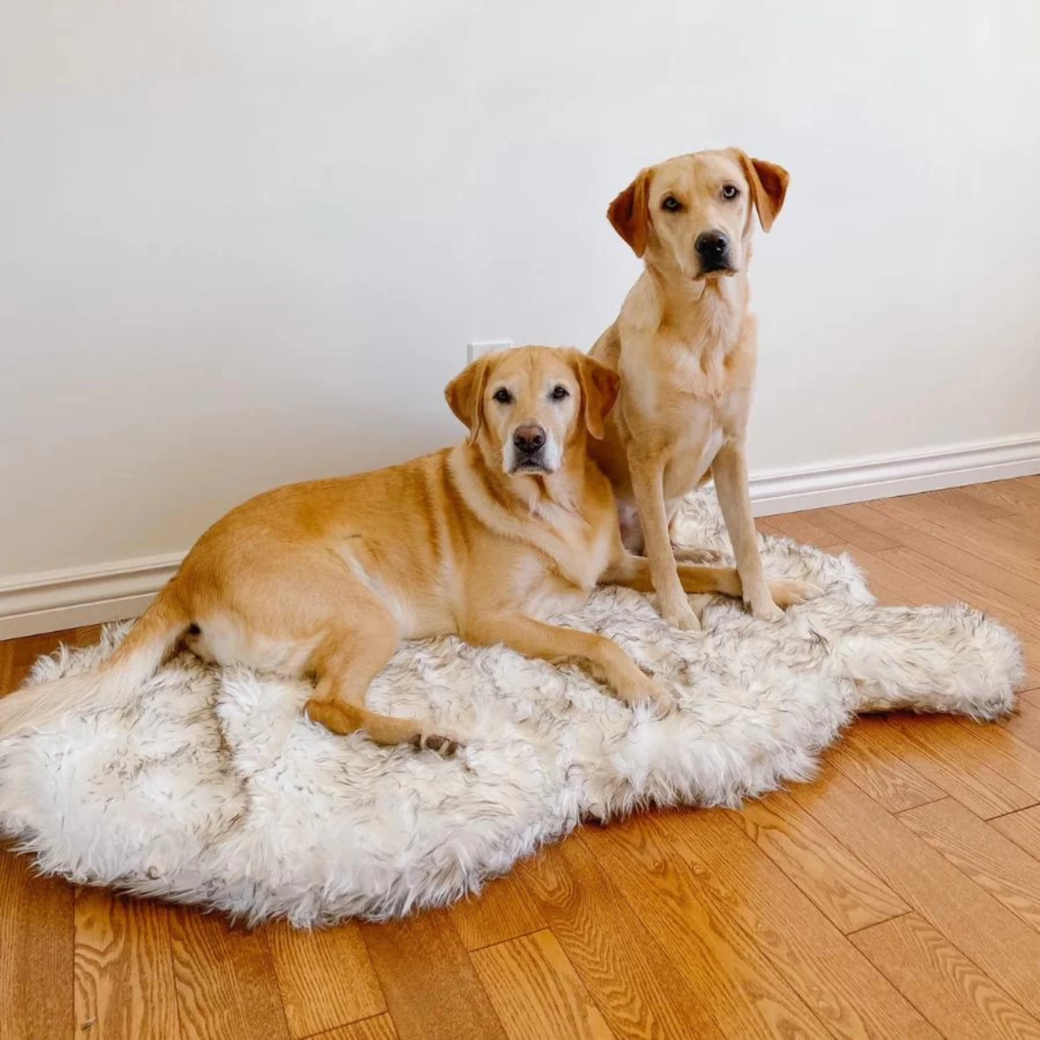 PAW Faux Fur Orthopedic Dog Bed - Curve White With Brown Accents (CLEARANCE) - Image 4