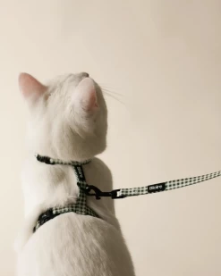 Bloire Green Plaid Matching Cat Harness & Leash Set