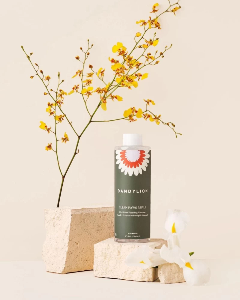 DANDYLION Refill - Clean Paws No-Rinse Foaming Cleanser For Dogs (Vegan & Cruelty Free) - Image 2