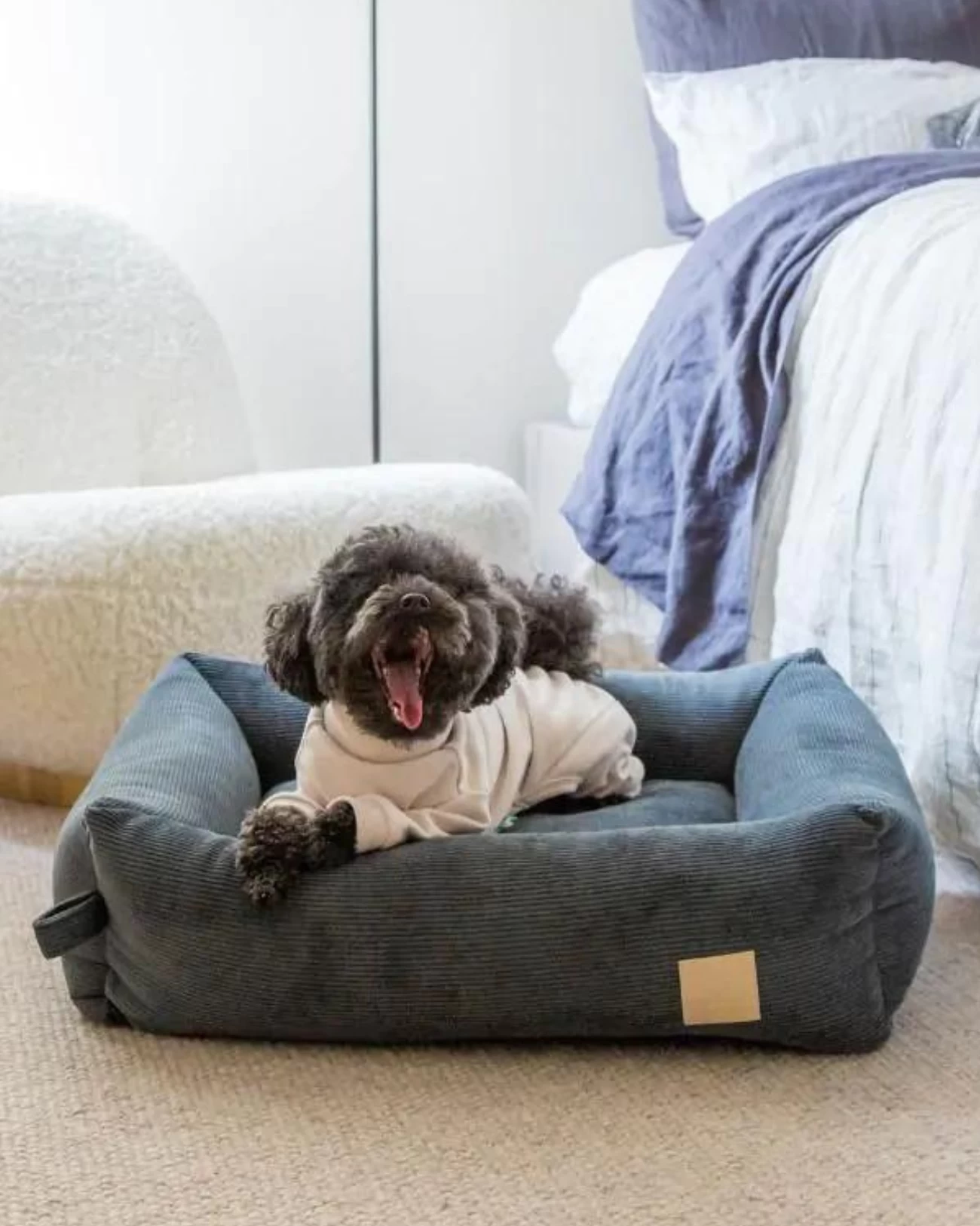 FUZZYARD Soft Touch Dog Onesie In Sandstone Or Myrtle Green (FINAL SALE) - Image 4