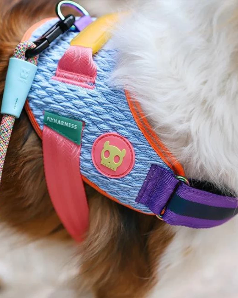 ZEE.DOG Flyharness In Galaxy For Dogs - Image 4