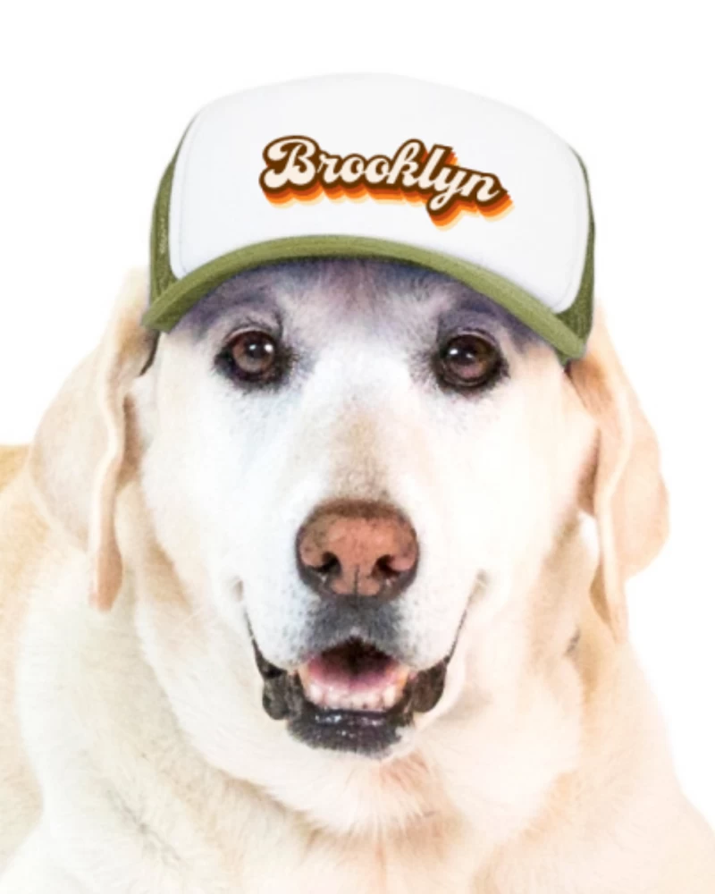 PUPLID Brooklyn Pet Trucker Hat (DOG & CO. EXCLUSIVE) - Image 5