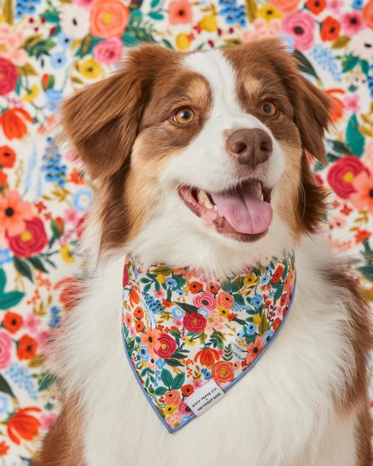THE FOGGY DOG Rifle Paper Co. X Tfd Garden Party Spring Dog Bandana (Made In The USA) - Image 2
