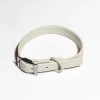 WILD ONE Modern Dog Collar In Gray