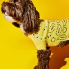 WARE OF THE DOG Merino Wool Bandana Print Sweater In Yellow