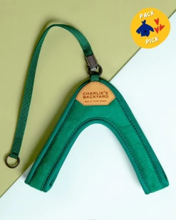 CHARLIE'S BACKYARD Adjustable Easy Dog Harness In Green
