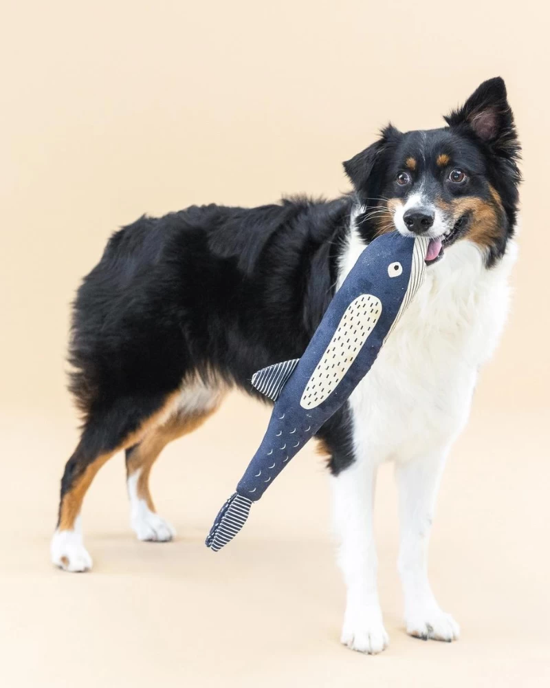 PETSHOP There She Blows Canvas Whale Dog Toy - Image 3