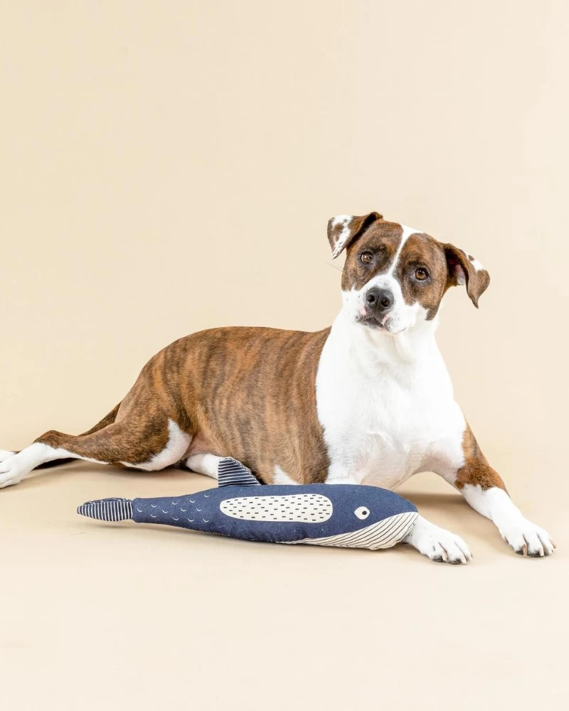 PETSHOP There She Blows Canvas Whale Dog Toy - Image 5