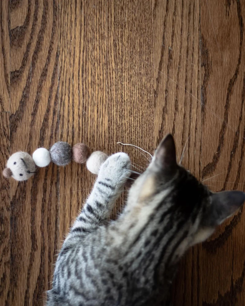 FRIENDSHEEP Brownie The Caterpillar Natural Wool Cat Toy - Image 3