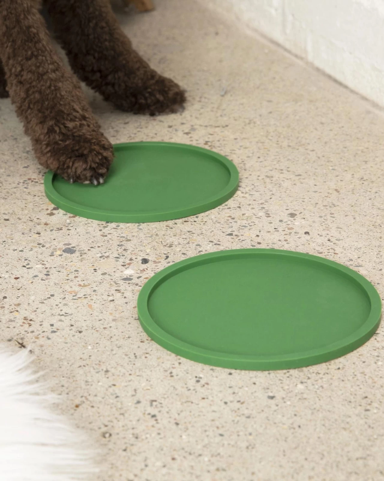 WAGGO Habit Circle Dog Placemat (Set Of 2) - Image 5