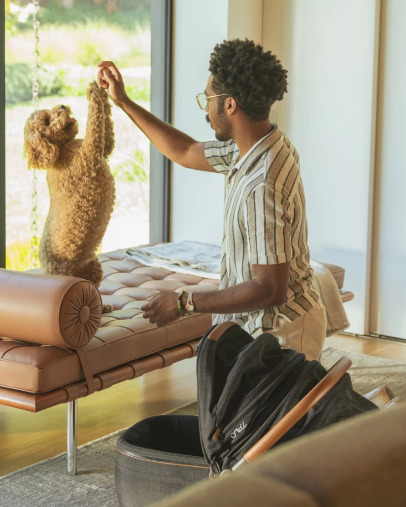 TAVO PET Maeve™ + Roscoe™ 3-in-1 Pet Stroller & Car Seat - Image 7