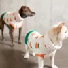 THE FURRYFOLKS Orange Dog Sweater