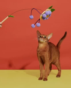 PURRRE Blooming Cat Teaser Toy