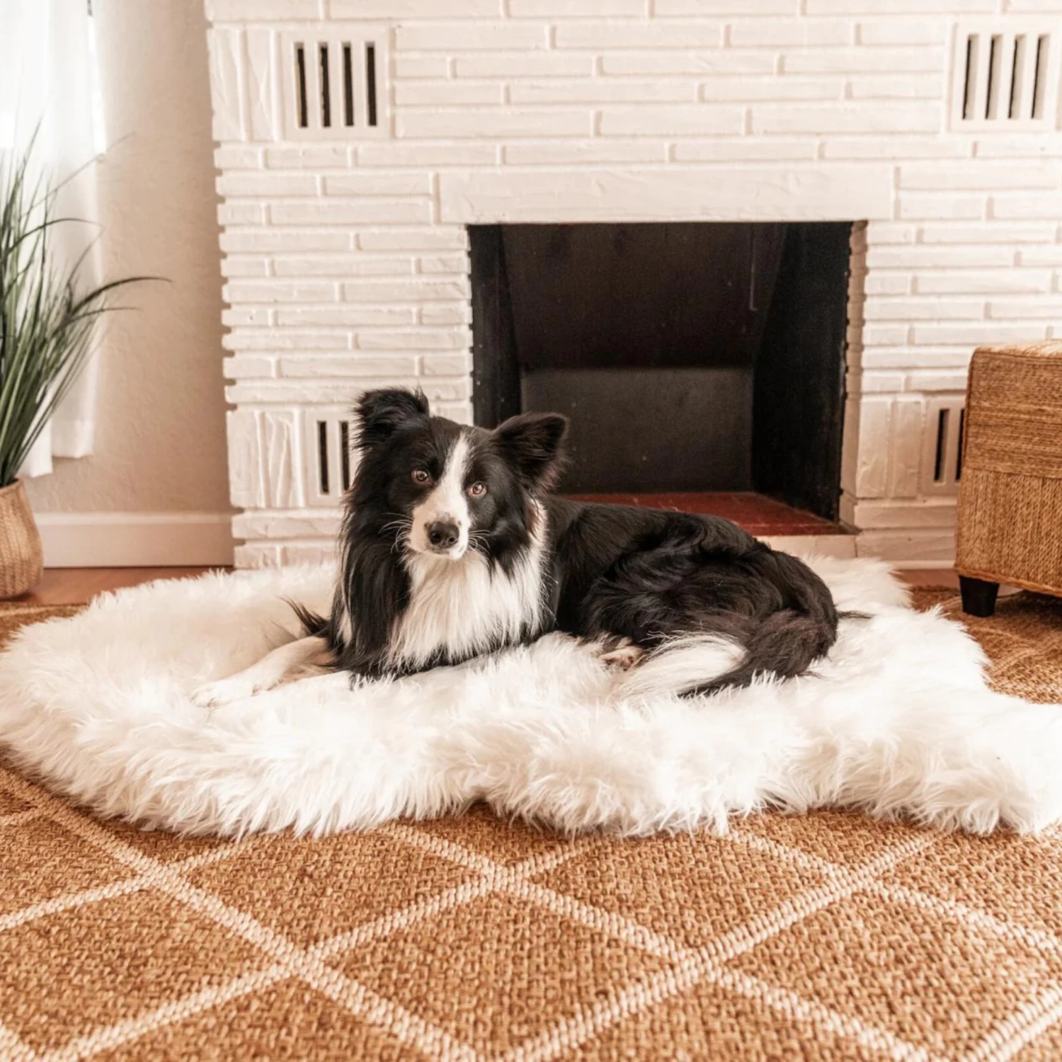 PAW Memory Foam Dog Bed In Polar Bear Faux Fur (CLEARANCE) - Image 3