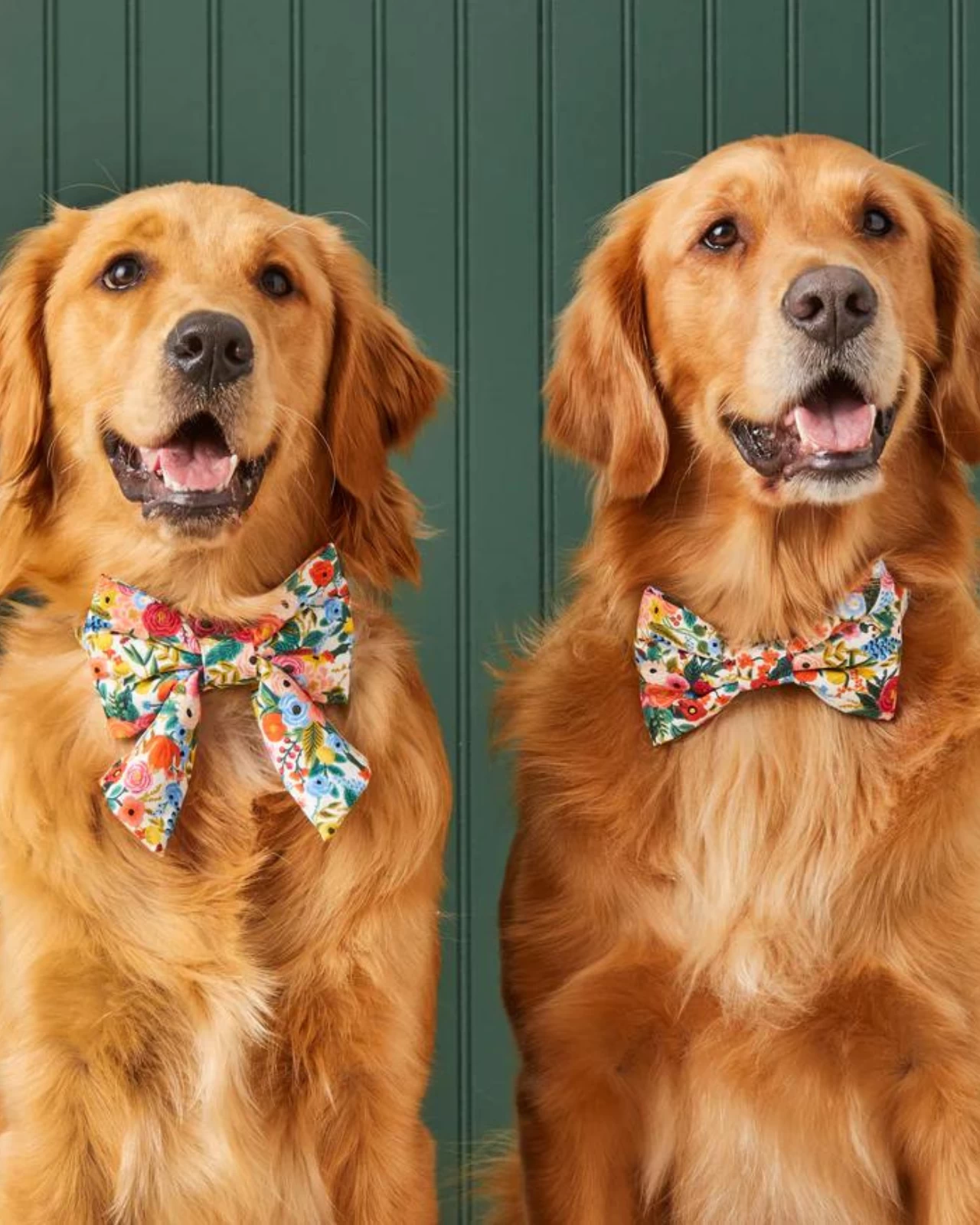 THE FOGGY DOG Rifle Paper Co. X TFD Garden Party Spring Dog Bow Tie (Made In The USA) - Image 4